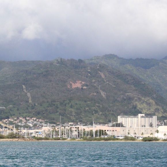 Meet your Posher, Tina - Picture 1 of 1